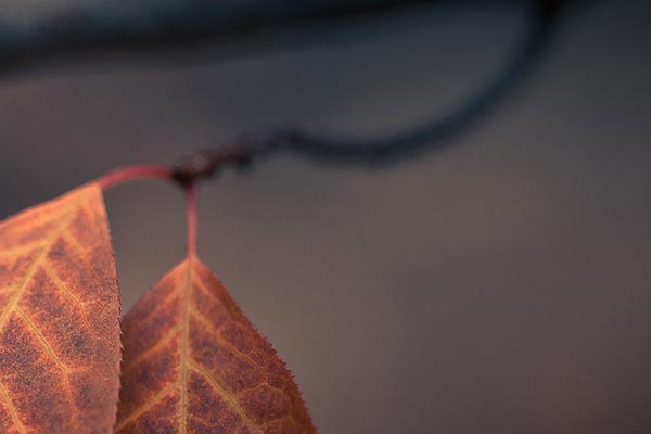真正的爱情需要经历考验，能被现实打败的不叫爱