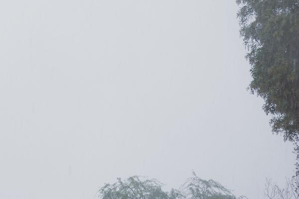 卑微的爱情有这10个标准，请对号入座