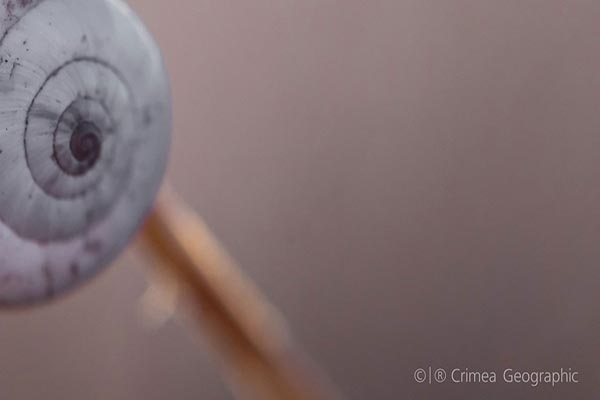 女人出轨后有负罪感怎么办，女人出轨后的愧疚感怎么消除