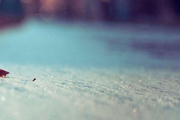 春雨中的无悔守候，思念有谁知？