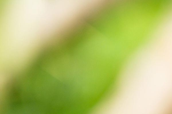 有女友后和异性相处，刻意回避正常吗？