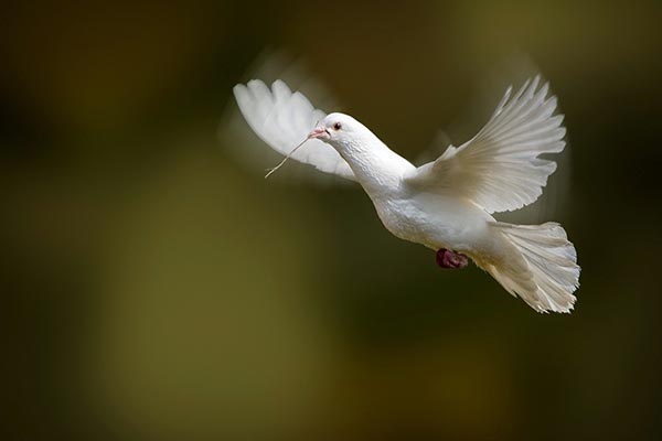 婚姻暗战生存法则：面对出轨，高段位妻子的逆袭挽回教科书